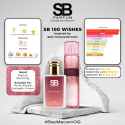 SB 100 WISHES